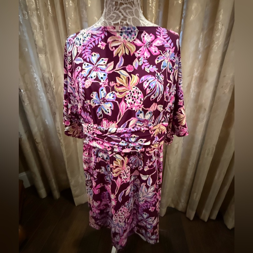Lily Pulitzer skirt dress